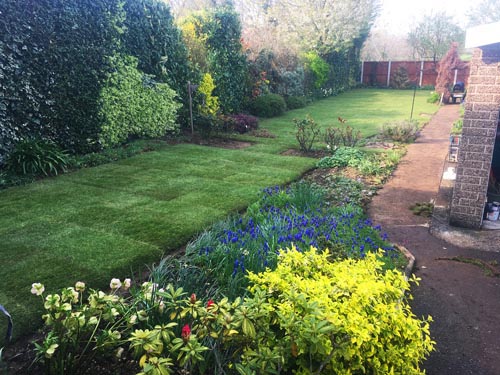 landscaper maldon essex