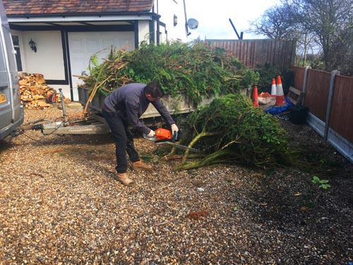 landscaper maldon essex